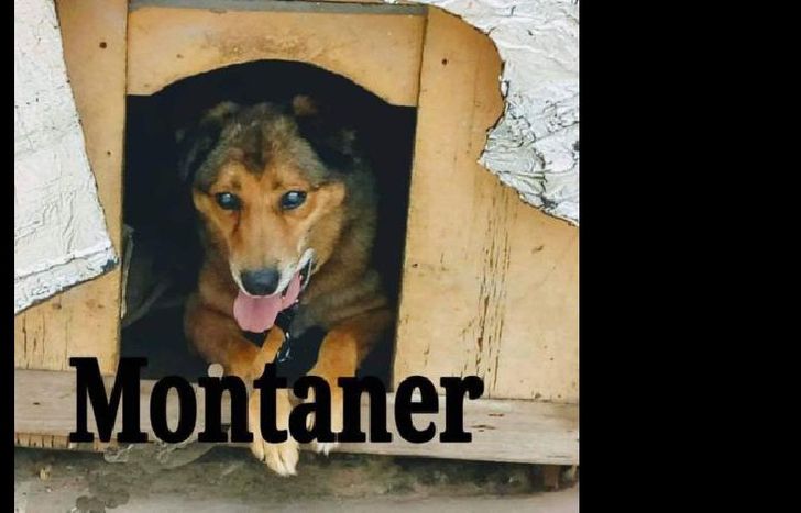 un hogar para montaner.