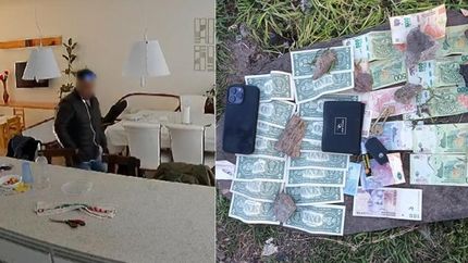 El ladrón captado por la cámara y parte del botín robado.