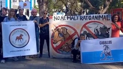 Distintas organizaciones estarán presentes para proteger a los animales.