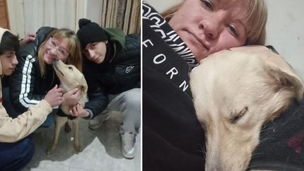 El tan anhelado reencuentro pudo concretarse gracias a la acción solidaria de Mirta. Tomi ya está con su verdadera familia.