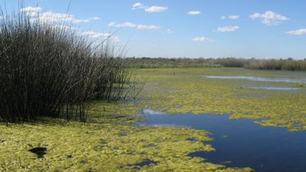 Los ecosistemas son fundamentales para la vida cotidiana.