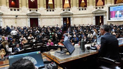 Un diputado libertario reconoció que el oficialismo la tendrá difícil para suspender las PASO en el Senado.