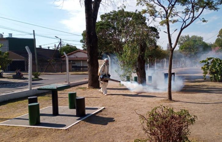 Hay fumigaciones en calles, espacios públicos e instituciones.
