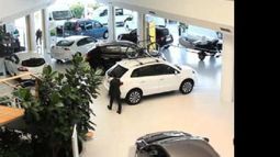 procreauto