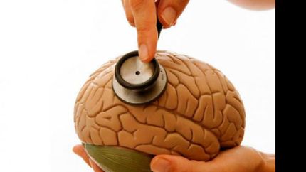 participarán profesionales durante la jornada abierta a la comunidad.