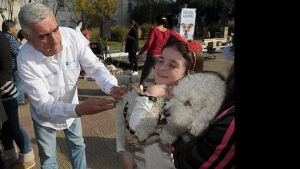 se viene una nueva celebracion del dia del animal en la plaza grigera se viene una nueva celebracion del dia del animal en la plaza grigera