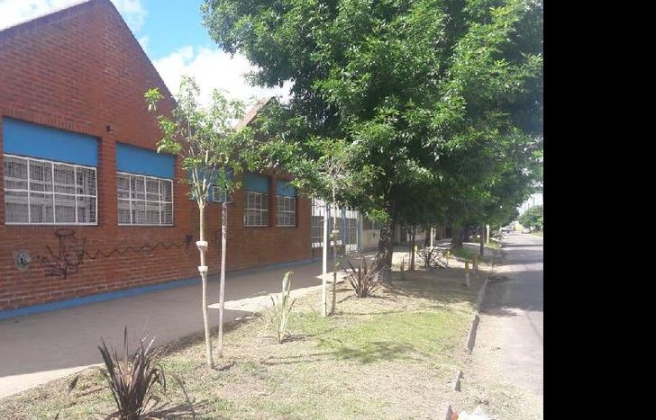 Las nuevas especies que se colocaron frente al Jardín N°937.