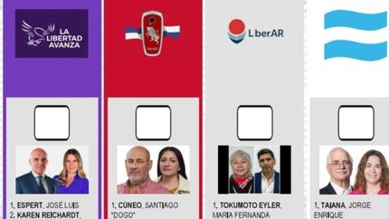 Hoy figura la cara de Espert, que se bajó de la carrera electoral.