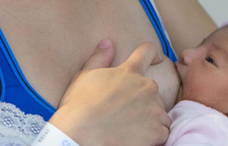 El Gandulfo brindará charlas informativas y actividades durante toda la semana.