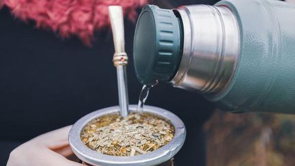 Una estrella fan del mate.