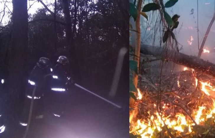 Trabajaron una hora.