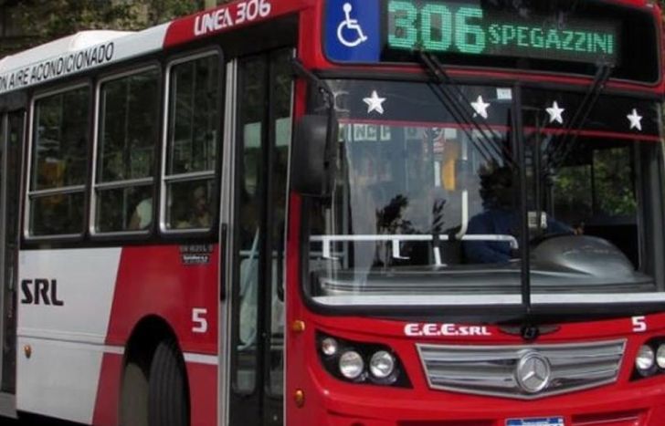 El colectivo pertenecía a la línea 306.