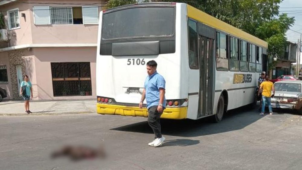 El perro perdió la vida en el acto.