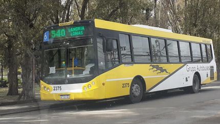 Tres líneas de colectivos extenderán sus horarios en Lomas por el fin de semana de Carnaval.