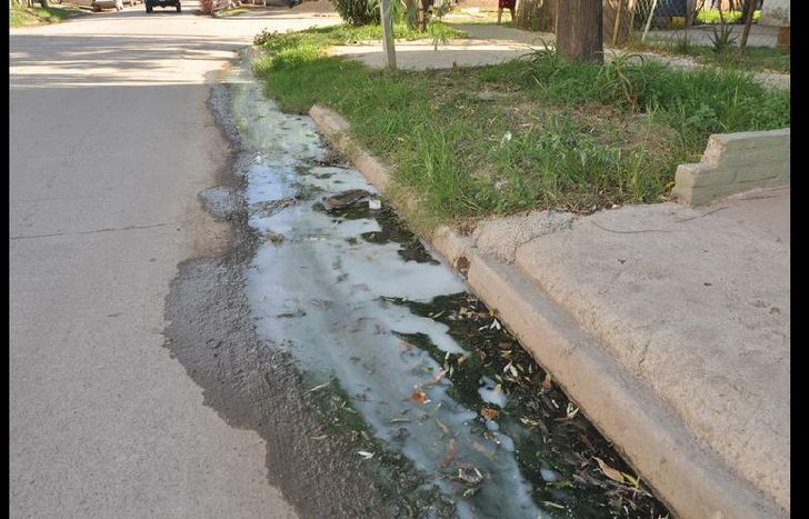 Arenales 1967 (6) Ene 2016