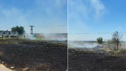 El fuego se originó en una zona de pastizales.