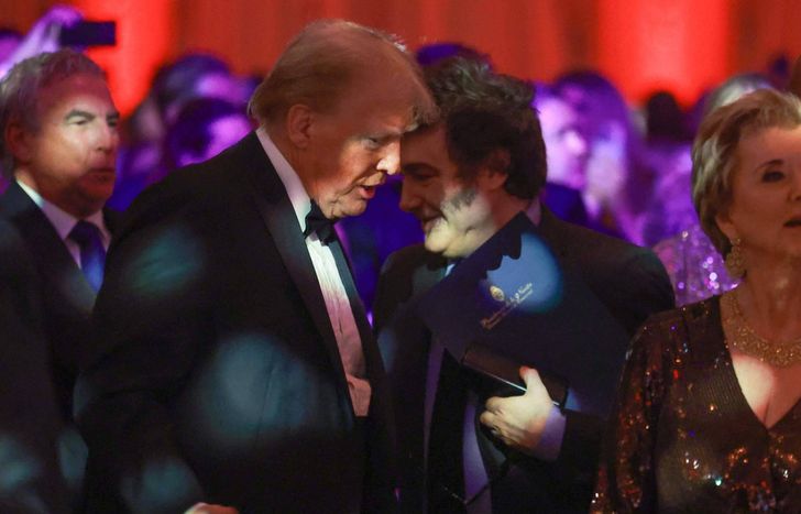 Verificación de edad online: el modelo europeo que el gobierno de Javier Milei podría copiar.