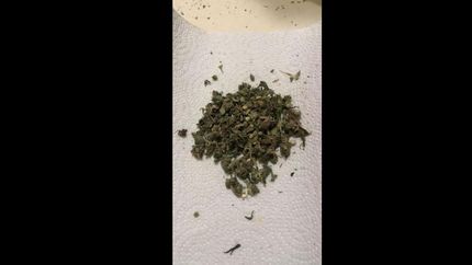fue a visitar a su hijo preso, le llevo yerba mate con marihuana y quedo detenido