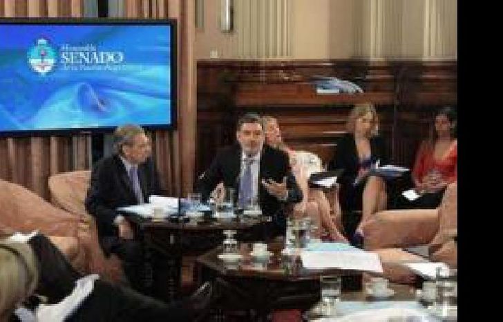 senado