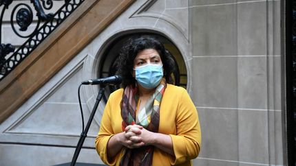 Vizzotti anunció el acuerdo con Pfizer.