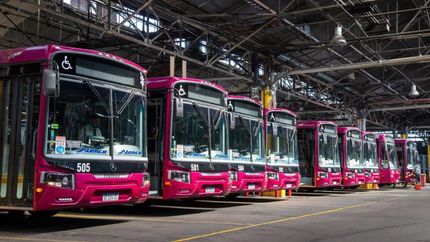 Desde hace un mes ningún colectivo de la 145 sale a la calle.