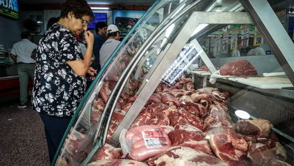 La carne de burro, ¿una posibilidad real?: en Chubut ya se está vendiendo.&nbsp;