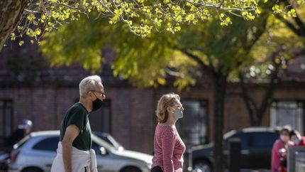 En febrero comenzaría la vacunación a mayores de 60.