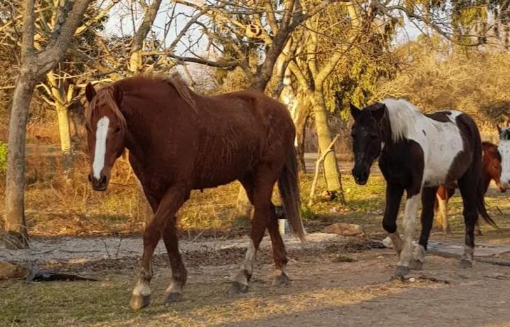 Los números de la rifa ya se encuentran a la venta.