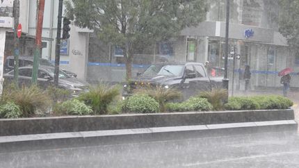 Diario La Unión | Hoy, todo el día lluvia.