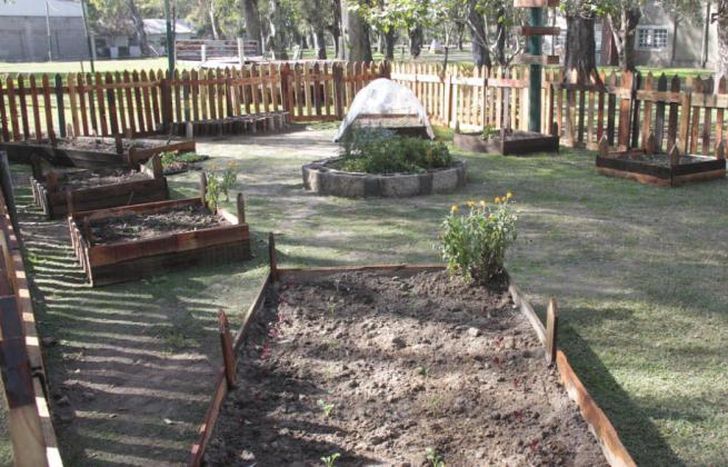 Medioambiente y Deportes trabajaron en pos de la huerta.