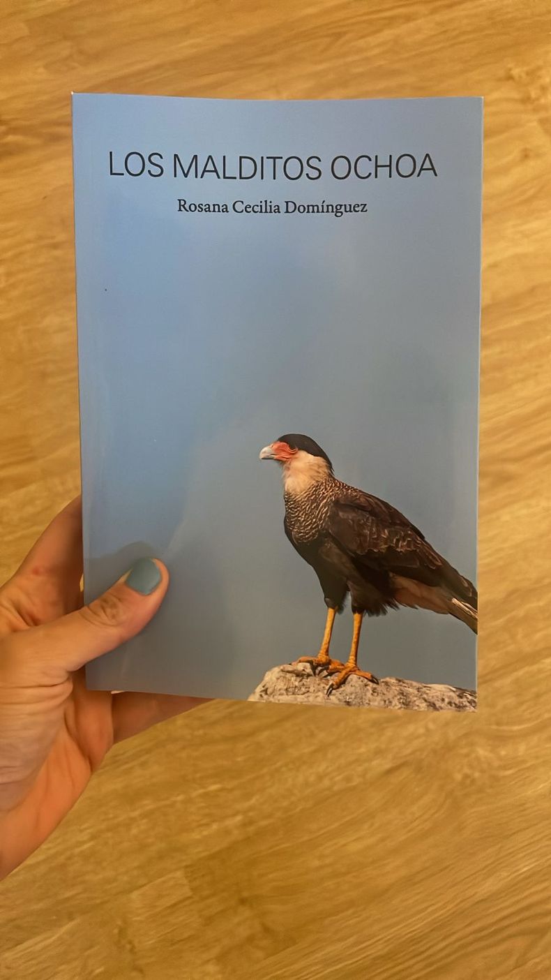 Se trata de la primera novela de Domínguez.