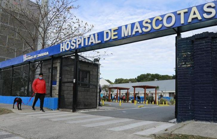 Las castraciones se realizan en el Hospital de Mascotas.