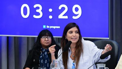 Daniela Vilar alertó sobre la modificación de la Ley de Glaciares: El daño será irreversible.