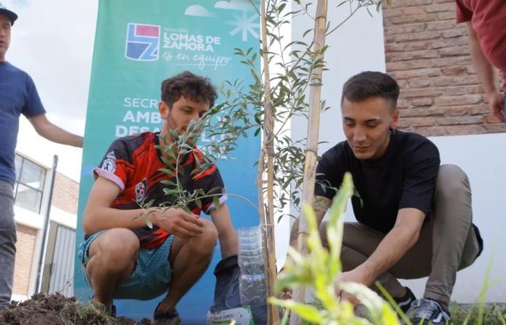 Se están plantando olivos para conmemorar los 10 años del Papa Francisco en el Vaticano.