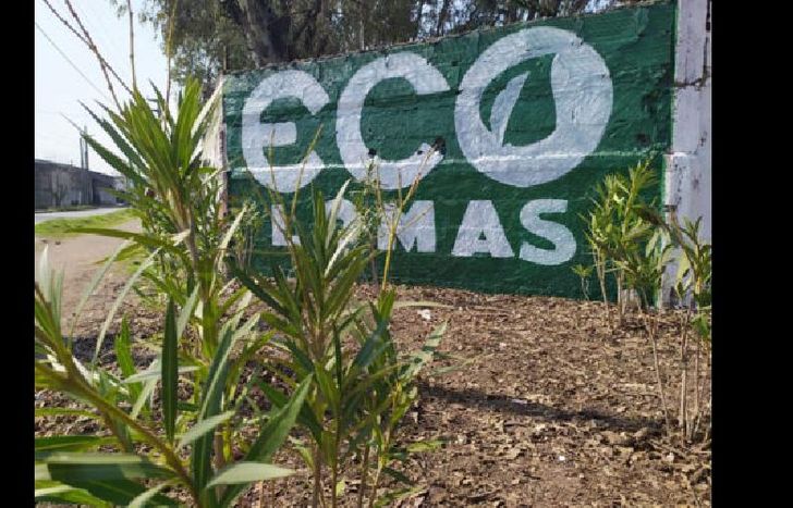 tienen programado recuperar tres espacios más en la zona.