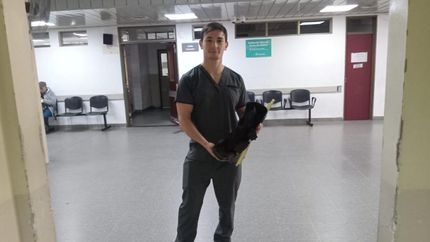 Alejandro trabaja en el Hospital Gandulfo, donde atiende a decenas de personas a diario.