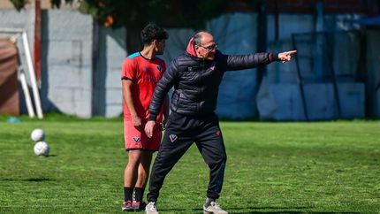 Lisa analizó el rendimiento del equipo.