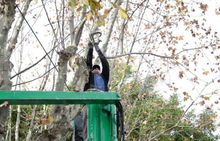 Hubo operativos en Banfield Este, Banfield Oeste y Temperley Oeste.