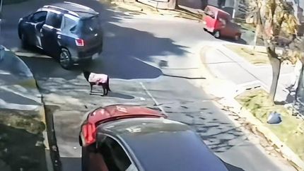 La secuencia quedó grabada por una cámara de seguridad. La secuencia quedó grabada por una cámara de seguridad.