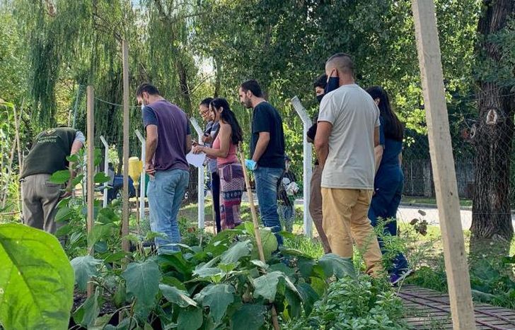 Se realizó a través de la Secretaría de Medio Ambiente.