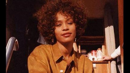 harán una gira protagonizada por el reflejo de ella.