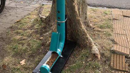 En la vereda, al servicio de las mascotas.