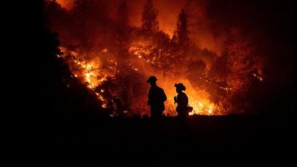 unos 400 bomberos argentinos se ofrecieron para combatir los incendios en el amazonas