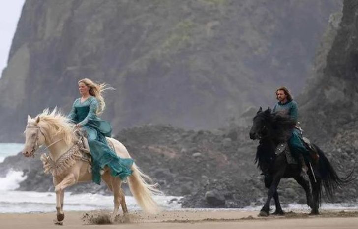Murió un caballo en el set.