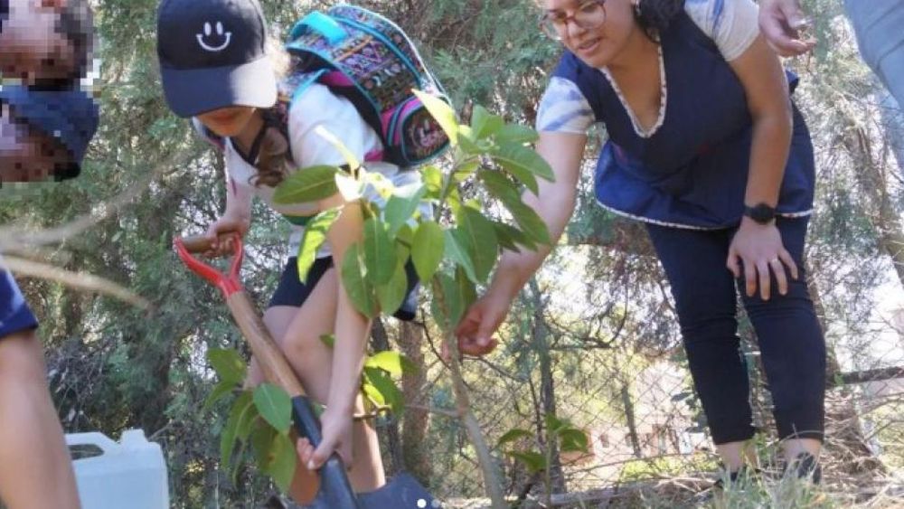 Los chicos y sus docentes, en plena acción.