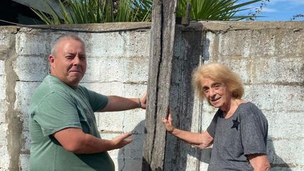 El quebracho se mantiene en el mismo lugar en el que fue encontrado.