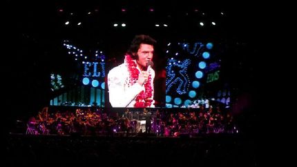 elvis: live in concert llega al luna park