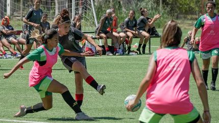 Banfield venció a Estudiantes de La Plata en el primer partido amistoso del año.