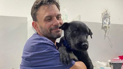 Hernán vacunaba a las mascotas y se encargaba de las adopciones.