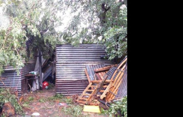 El árbol cayó sobre la casa donde vivían y los aplastó.